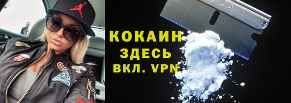 крисы Баксан