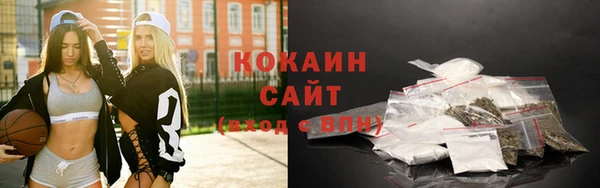крисы Баксан