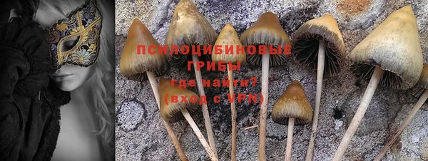 марки lsd Балабаново
