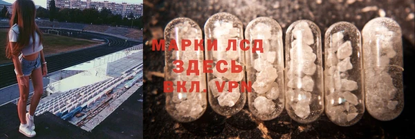 крисы Баксан