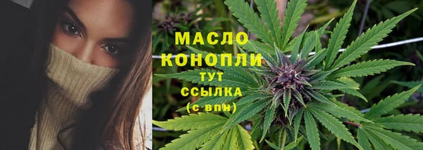 крисы Баксан