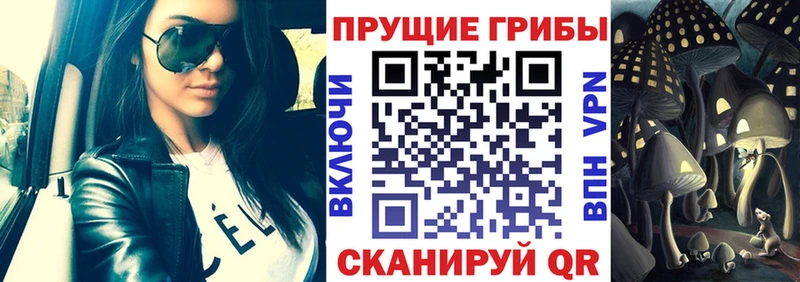 где найти наркотики  ОМГ ОМГ ТОР  Галлюциногенные грибы Psilocybe  Урюпинск 